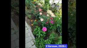 🌹Сочетание садовода  и зоозащитника- это Наша передержка  Наташа.
