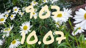Лунный Календарь Комнатного Цветовода с6.07-12.07.26г.