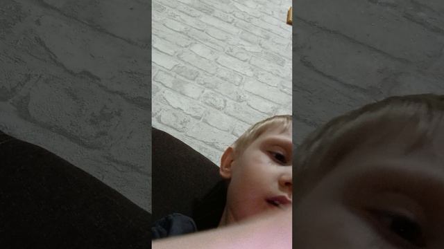 Изучаю насекомых. Часть 1🕷🐌🦋🪱🐝🐜🐞🐍🪲🦗🦂
