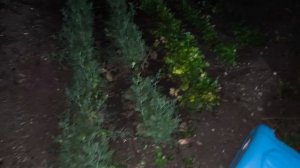 Алексей купил кондиционер