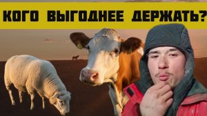 Кого выгоднее и проще держать: Коровы, Овцы, Козы или Лошади? Личный опыт