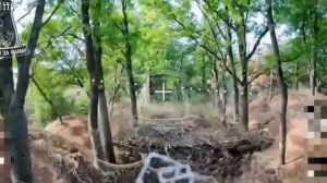 Уничтожение словенских танков ВСУ, группировкой «Север». Война дронов.