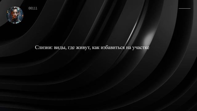 Слизни: виды, где живут, как избавиться на участке