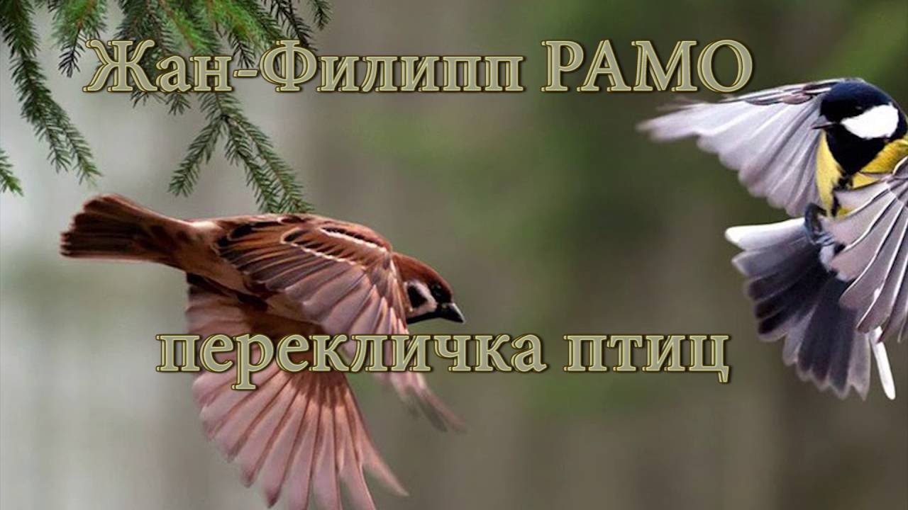 Жан Филипп РАМО - Перекличка птиц (фортепиано) смотреть онлайн