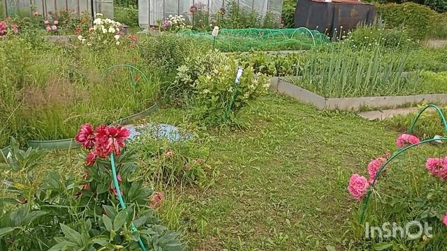 4 июля смотреть онлайн