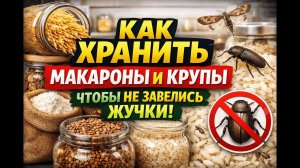 Как хранить макароны и крупы, чтобы не завелись жучки.