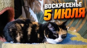 Воскресенье 5 Июля.