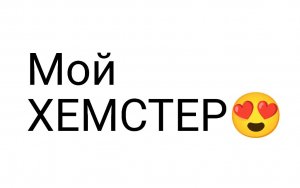 Показываю пета😍♥