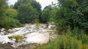 РАБА БАСТУЕТ ОТ ИЗЛИШКИ ВОДЫ ПЕРЕПАДЫ ПОГОДЫ КАЖДЫЙ ДЕНЬ ЛЬЮТ ДОЖДИ