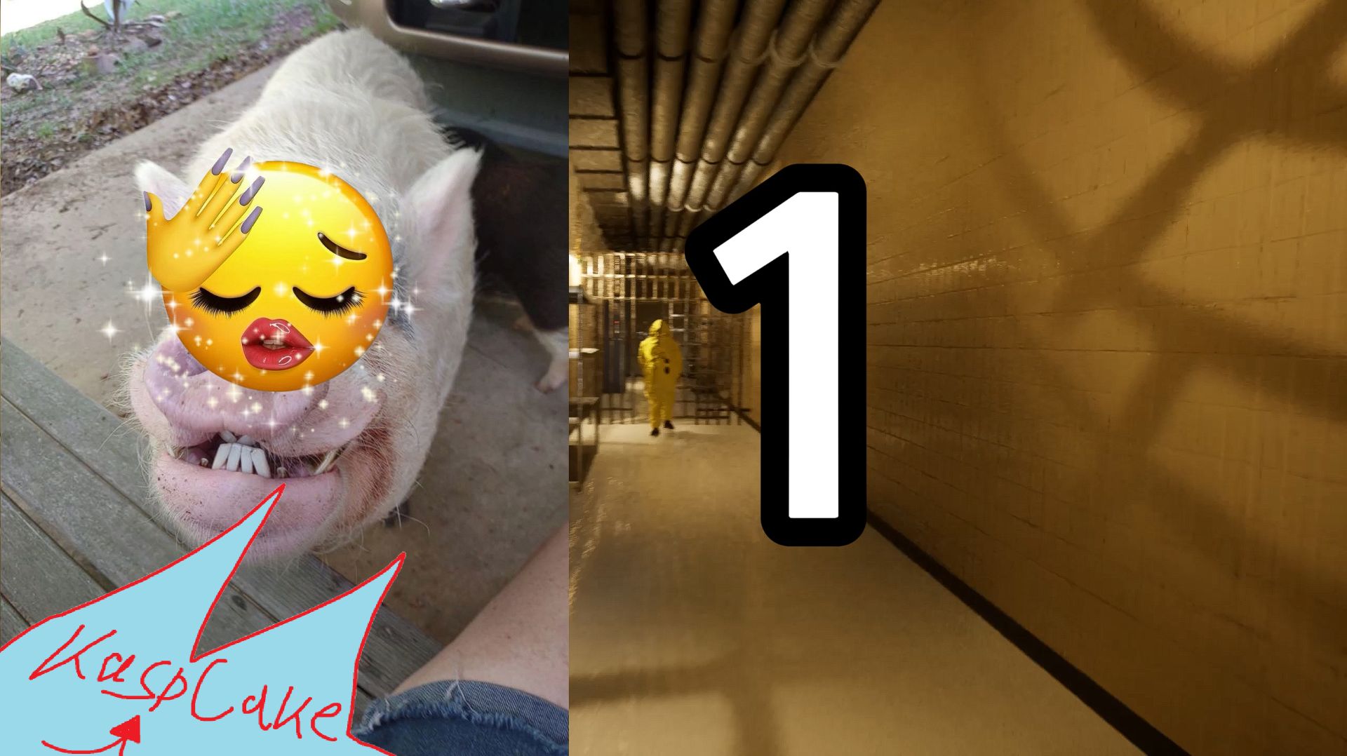 Самая  ЛАГУЧАЯ серия, да здравствуй ЛЕТО! Backrooms: escape together #3
