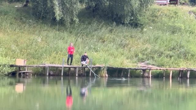 42330.mp4 смотреть онлайн