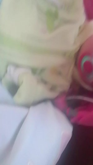 вечер с реборном Евой