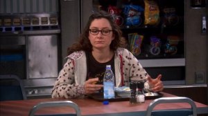 Теория Большого взрыва 1 сезон 13 серия / The Big Bang Theory