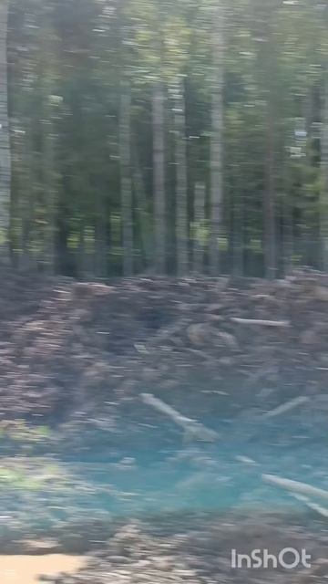 Нашли выход