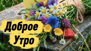 Доброе утро — открытка с пожеланиями добра для близких ☀️