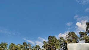 КАК УБРАТЬ ЭТОГО БЛОГЕРА ИЗ ЛЕНТЫ 05-07-2026