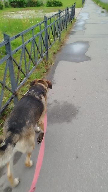 погода из Санкт-Петербурга смотреть онлайн
