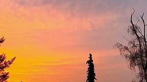 Не стирай мне пожалуйста память..стихи и Исполнитель: Юля Кузнецова. #песнядоглубиныдуши#музыкадляд