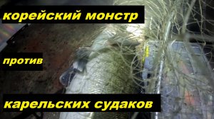 Корейский монстр против карельских судаков.