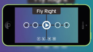 Обзор игры Fly Right