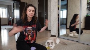 РЭГДОЛЛ | вся правда о породе🐾