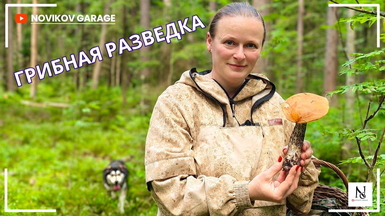 Грибная разведка 04 июля 2026. Всеволожский район. смотреть онлайн