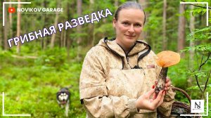 Грибная разведка 04 июля 2026. Всеволожский район.