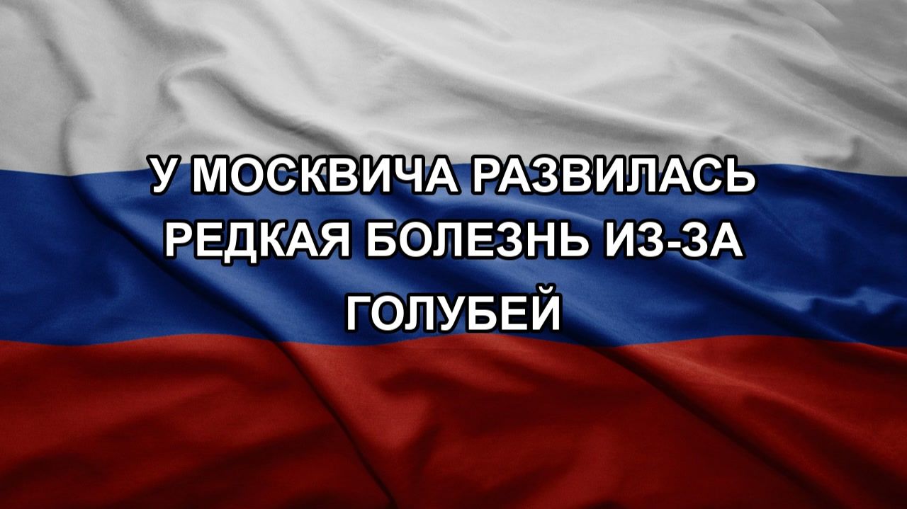 У москвича развилась редкая болезнь из-за голубей