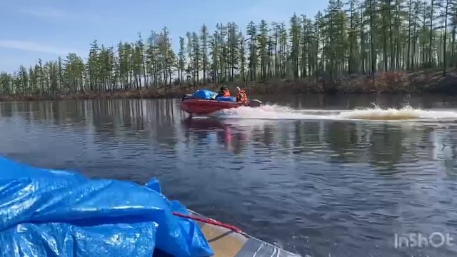 Нижняя Ципа смотреть онлайн