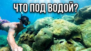 Крым сегодня. Чистейшее море. Подводная съемка Черное море. Кастрополь 2026
