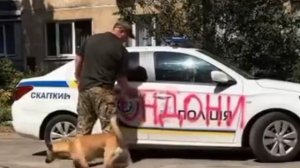 Я думаю, там все очень жизненно и верно написано. Не нужно стирать правду! 😁