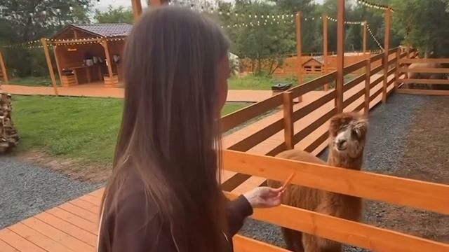 Ни фига себе смотреть онлайн