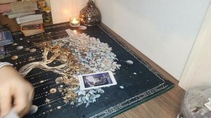 Какая крыса угодила в крысоловку🕵️❓🪤🐀🐁⚖️