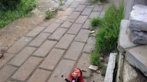 Monster High «Прогулка»