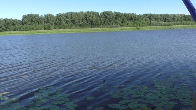 РЫБАЛКА НА УДОЧКУ В ГЛУШИ НА ОЗЕРЕ ГЛУШИЦА | Тишина и клёв смотреть онлайн