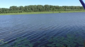 РЫБАЛКА НА УДОЧКУ В ГЛУШИ НА ОЗЕРЕ ГЛУШИЦА | Тишина и клёв
