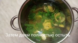 Вкусный и освежающий домашний лимонад с мятой. Рецепт.