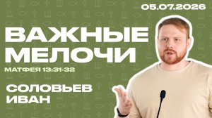 Важные мелочи | Соловьев Иван