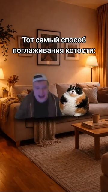 Котость