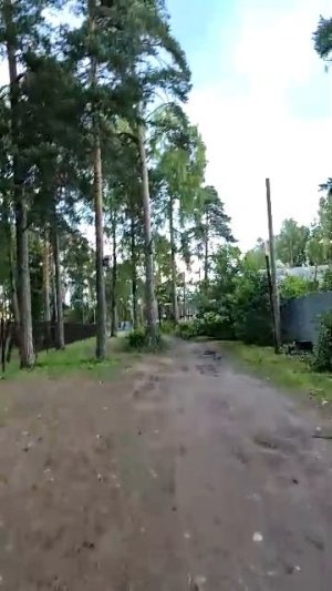 Вышла вечером в парк. Ну и погодка, дождь был 5 раз, и 5 раз солнце. Прохладно