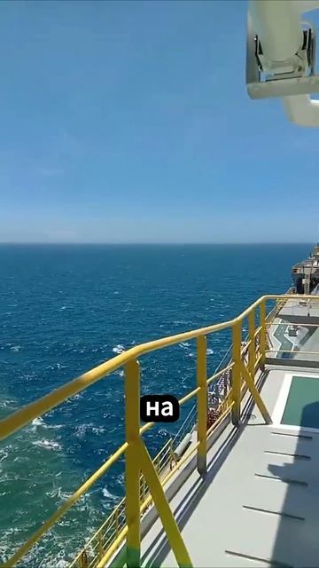🌏Интересный факт🌏