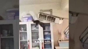 1000059296.mp4