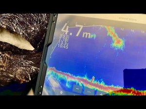 GARMIN PANOPTIX LIVE SCOPE - МОИ НАСТРОЙКИ ✅