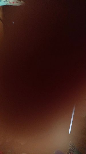 11 подписчиков