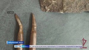 Сводка происшествий по Кузбассу за 06.07.2026