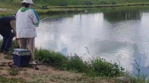 Поимка на малом водоёме