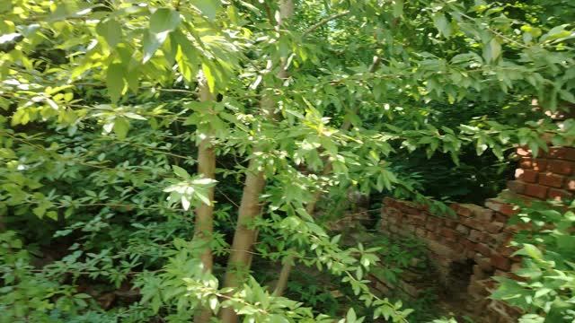 Мужчины с сайтов знакомств привыкли душить птенца или ужа смотреть онлайн
