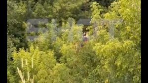 Более 10 человек застряли на канатной дороге через Волгу в Нижегородской области