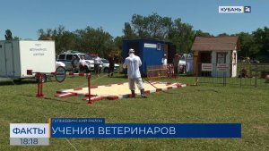 Масштабные учения ветеринарных служб прошли в Гулькевичском районе