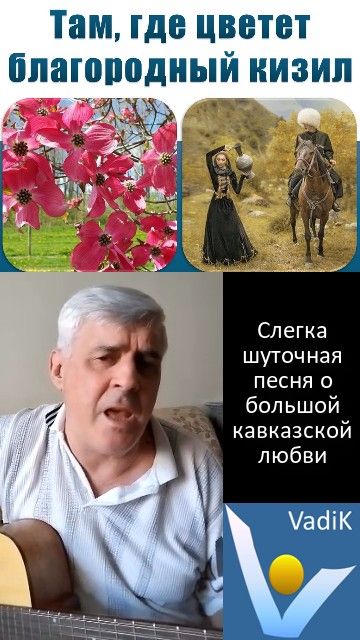 "Там, где цветет благородный кизил" - шуточная песня о большой кавказской любви (начало). ВадиК